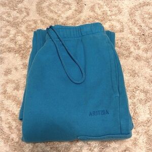 Aritzia cargo sweatpants